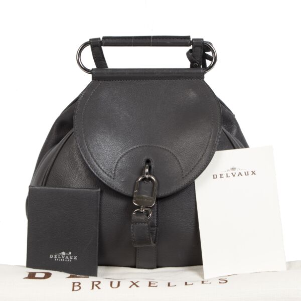 Delvaux Cerceau PM Steel Grey Backpack