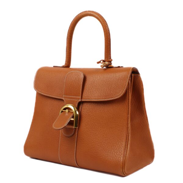 Delvaux Cognac Criket Brillant MM + Strap