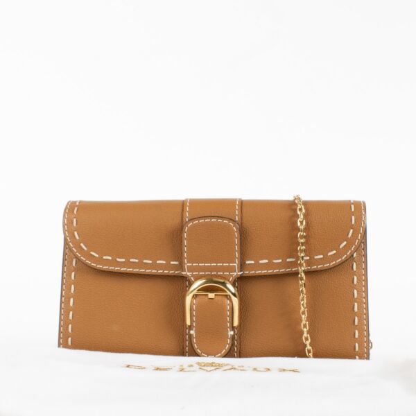 Delvaux Vegetal Rodeo Calf Brilliant Long Wallet