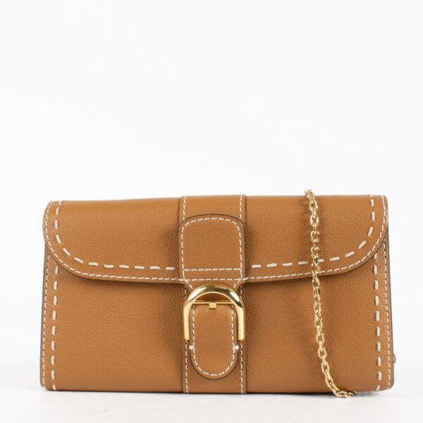 Authentic Preloved Delvaux Vegetal Rodeo Calf Brilliant Long Wallet on labellov.com