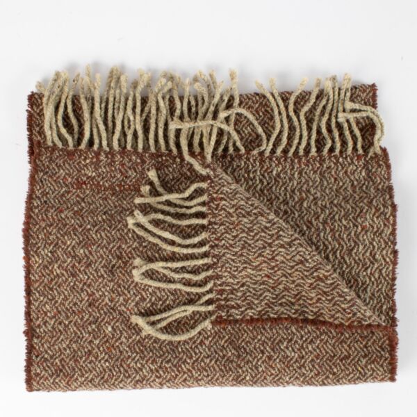 Authentic pre-loved Delvaux Brown Fringe Scarf on Labellov.com