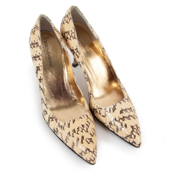 Dolce & Gabbana Python Pumps - Size 37