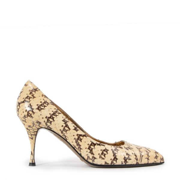 Dolce & Gabbana Python Pumps