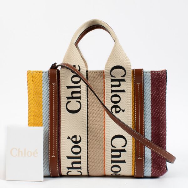 Chloé Multicolor Woody Small Bag