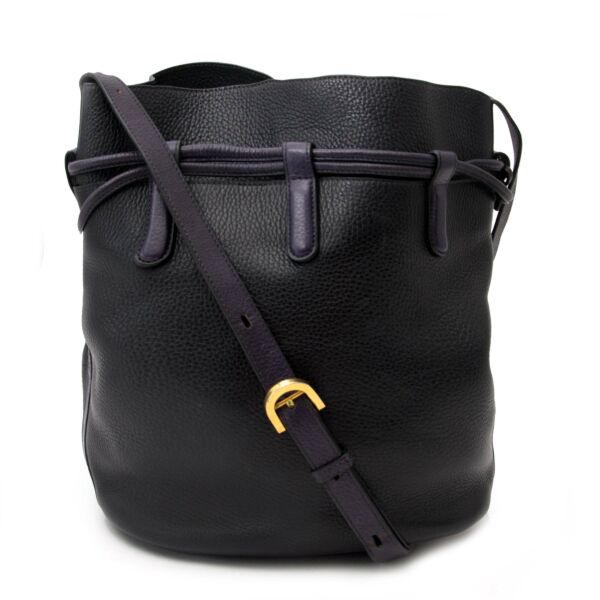 Delvaux Blue and Purple Bucket Bag for the best price available online