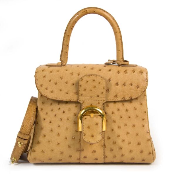 Delvaux Brillant PM Ostrich Sahara Bag for the best price at Labellov
