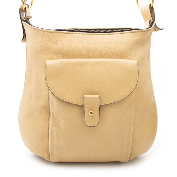 Looking for a Delvaux Beige Tote Bag?