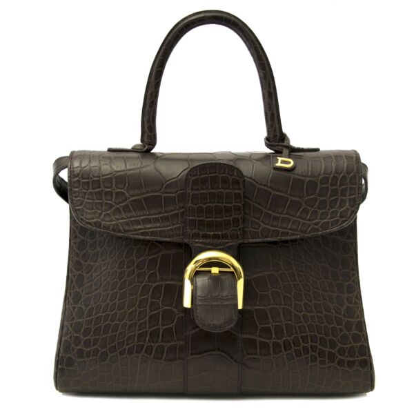 Delvaux Brown Matte Croco Brillant MM + Strap