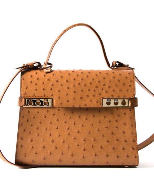 Preowned Delvaux Tempete Bag Ostrich Gold. Buy authentic secondhand Louis Vuitton bags at the right price at LabelLOV vintage webshop. Safe and secure online shopping. Koop authentieke tweedehands Hermès tassen met juiste prijs bij LabelLOV.