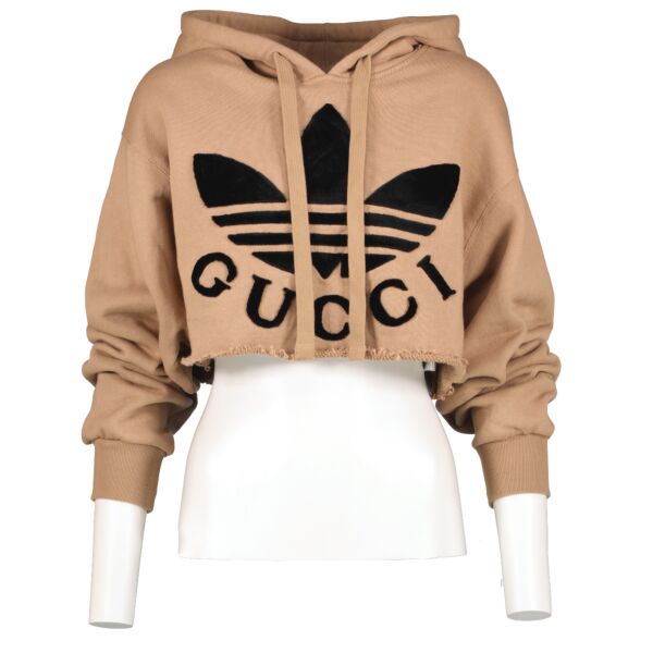 Gucci x Adidas Camel Cotton Cropped Sweater Top - size XS