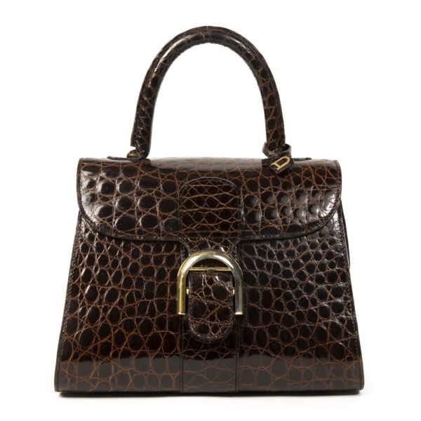 Delvaux Brown Croco Brillant PM