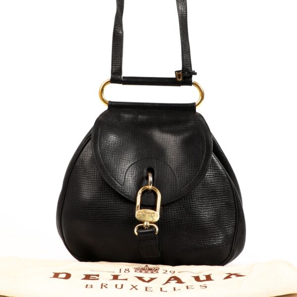 Delvaux Cerceau GM Brown Leather Bag