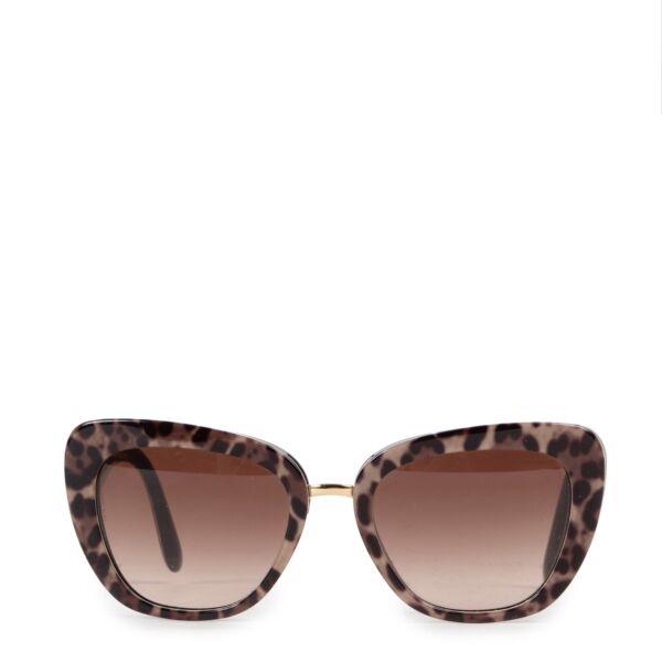 Dolce & Gabbana Leopard Glasses