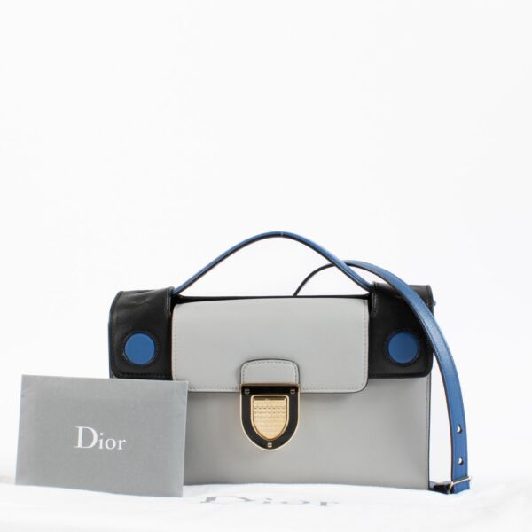 Christian Dior Multicolor Diorever Bag