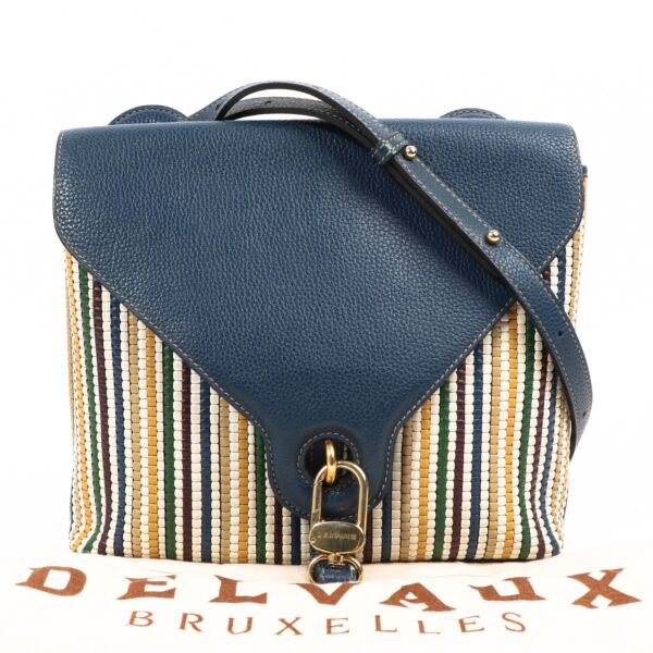 Delvaux Goutte GM Toile de Cuir Crocus Crossbody Bag