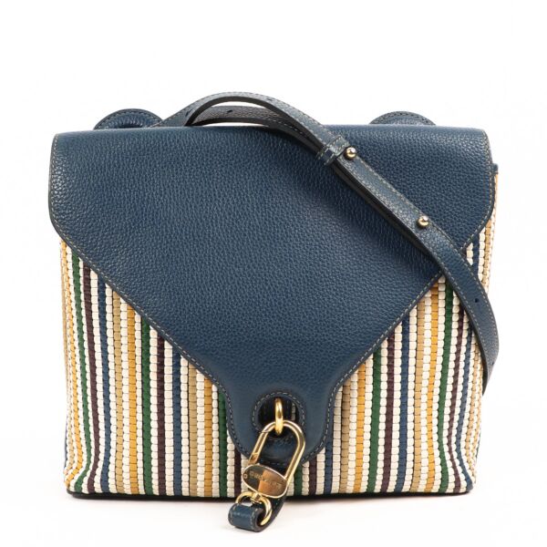 Delvaux Goutte GM Toile de Cuir Crocus Crossbody Bag
