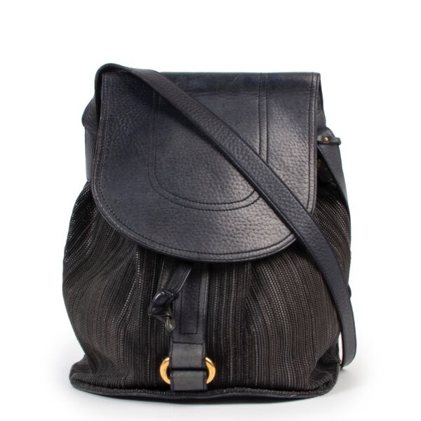 Buy this Delvaux Blue Toile De Cuir Crossbody at Labellov and give it a second life. Buy and sell your delvaux items online or in store. 