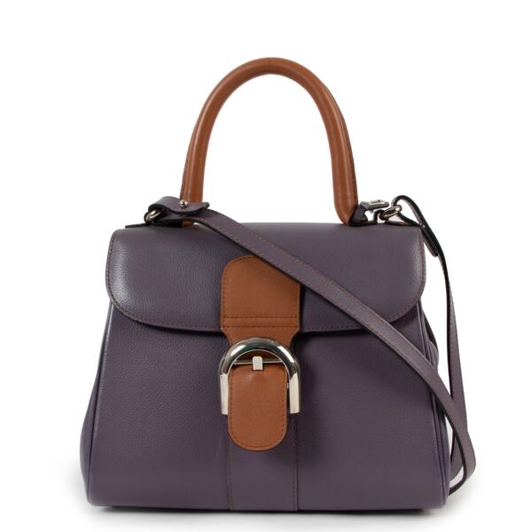 Buy online authentic second hand Delvaux Bi-color Mauve/Fauve Brillant PM in very good condition at Labellov in Antwerp
