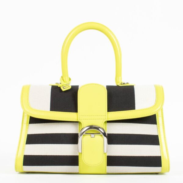 Authentic pre-loved Delvaux Absinthe Box Calf/Canvas Brillant East West Mini on Labellov.com