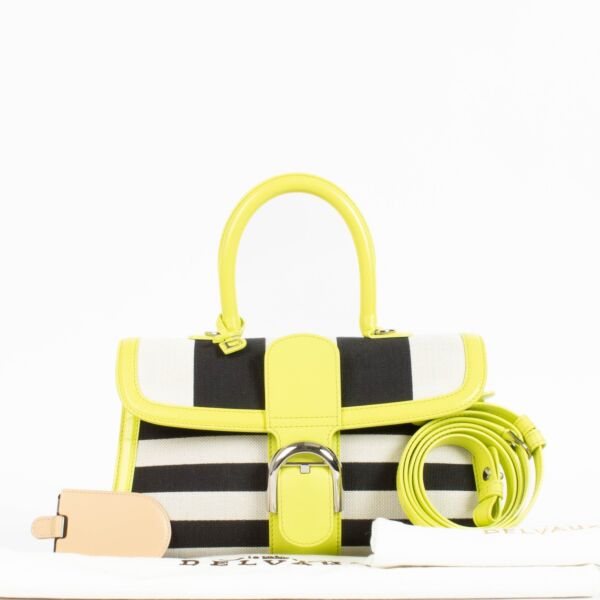 Delvaux Neon Stripes Canvas Brillant East West Mini Bag