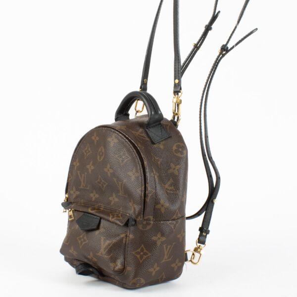 Louis Vuitton Palm Springs Mini Monogram Backpack