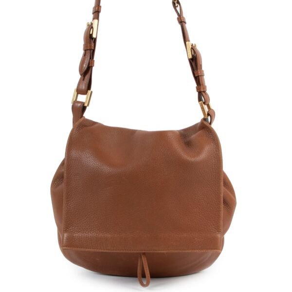 Delvaux Fauve Le Léon PM Shoulder Bag