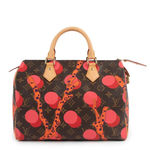Louis Vuitton Multicolor Speedy 30 Ramages