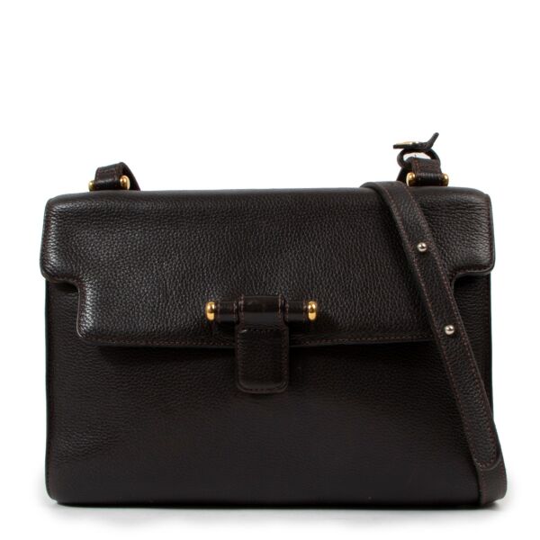 Delvaux Café Brown Leather Crossbody Bag