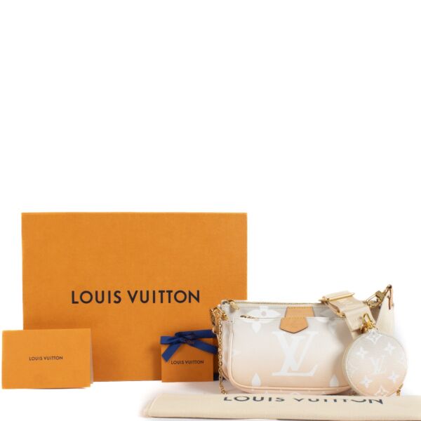Louis Vuitton Brume Monogram Multi Pochette Accessoires Bag