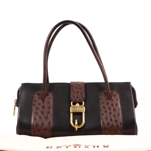 Delvaux Brown Ostrich Leather Le George MM Shoulder Bag