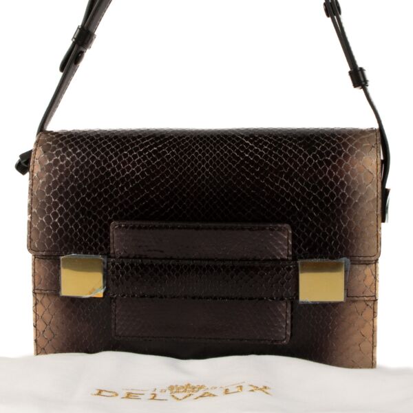 Delvaux Brown Python Leather Madame Shoulder Bag