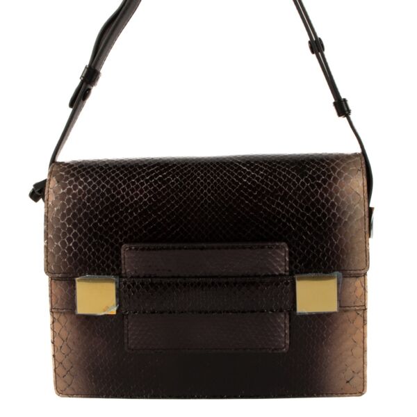 Buy an authentic second hand Delvaux Brown Python Leather Madame Shoulder Bag in new condition at Labellov 