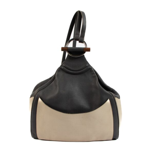 Delvaux Bicolor Leather Wood Ring Backpack