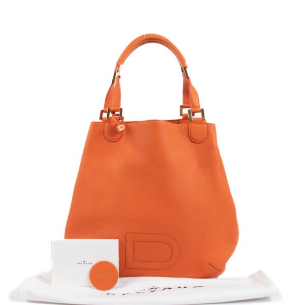 Delvaux Louise Cabas GM Sunrise Taurillon