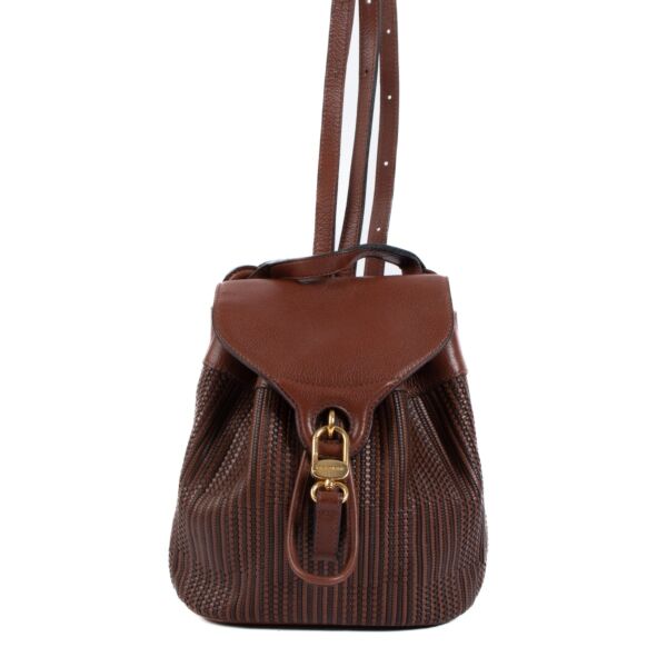 Pre loved Delvaux backpack in very good conditon on Labellov.com