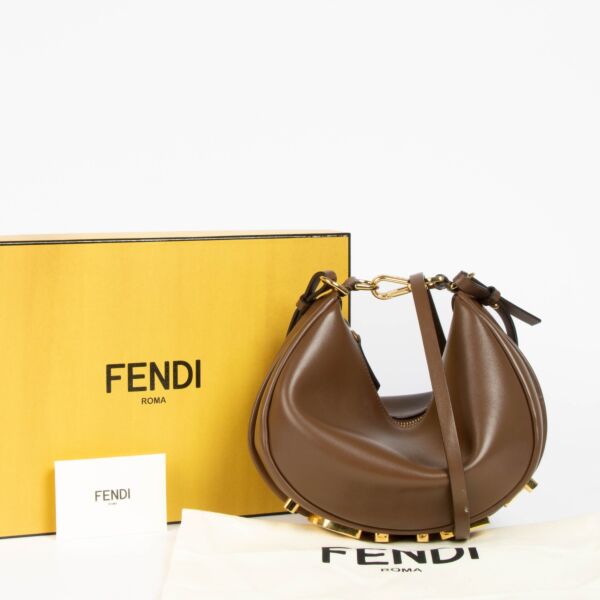 Fendi Brown Vitello Grace Fendigraphy Mini Bag