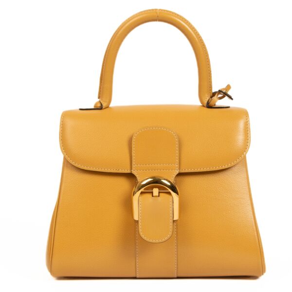 shop 100% authentic second hand Delvaux Yellow Brillant PM on Labellov.com