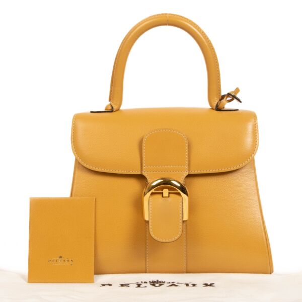 Delvaux Houblon Jumping Brillant PM