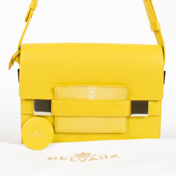 Delvaux Mimosa Galuchat/Polo Madame Shoulder Bag 