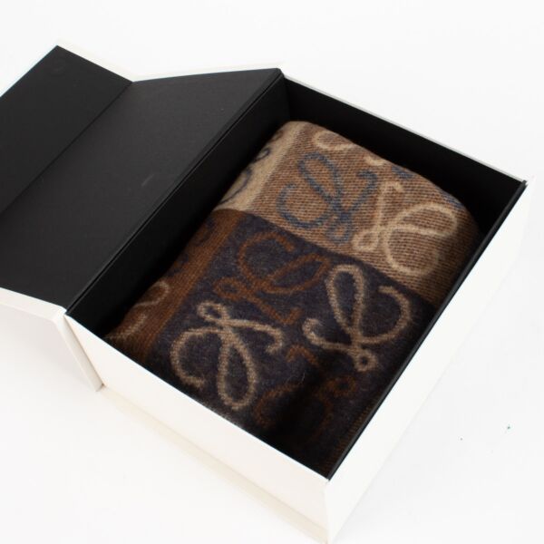 Loewe Brown Blue Wool Scarf