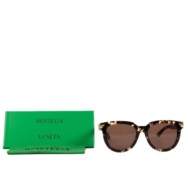 Bottega Veneta Tortoise Acetate Sunglasses 