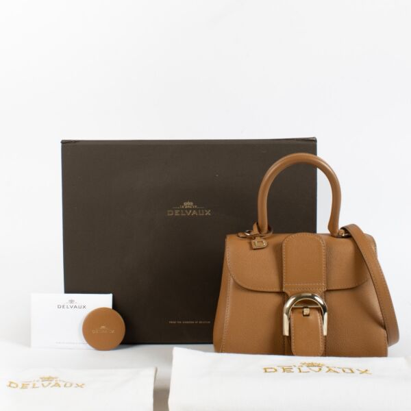 Delvaux Vegetal Rodeo Calf Brillant Mini Bag