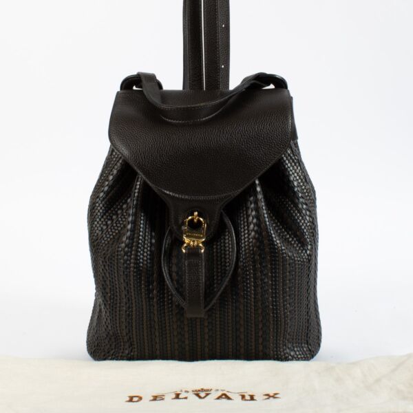 Delvaux Brown Rose Backpack