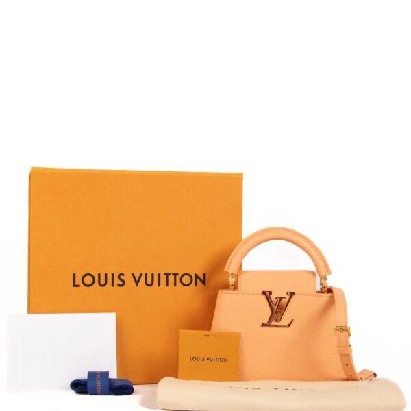 Louis Vuitton Apricot Taurillon Leather Scarabeo Mini Capucines Bag