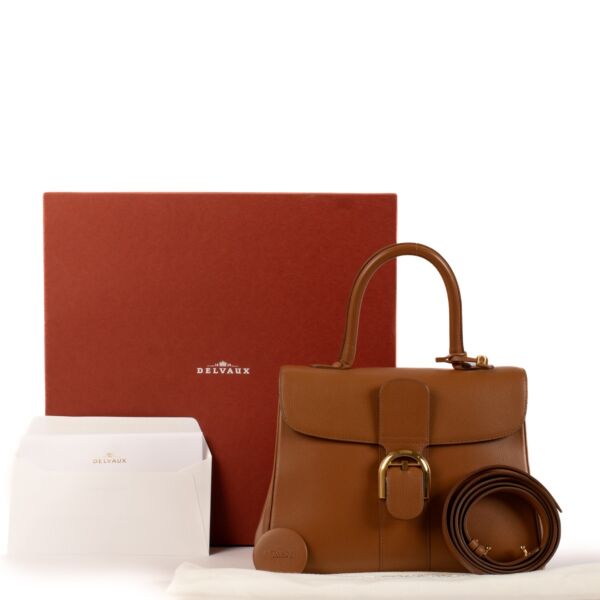 Delvaux Fauve Jumping Brillant MM Bag