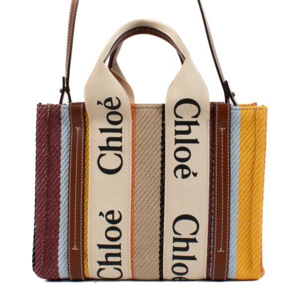 Chloé Multicolor Small Woody Bag 