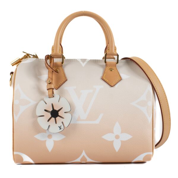 Louis Vuitton Giant By the Pool Speedy 25 Bag