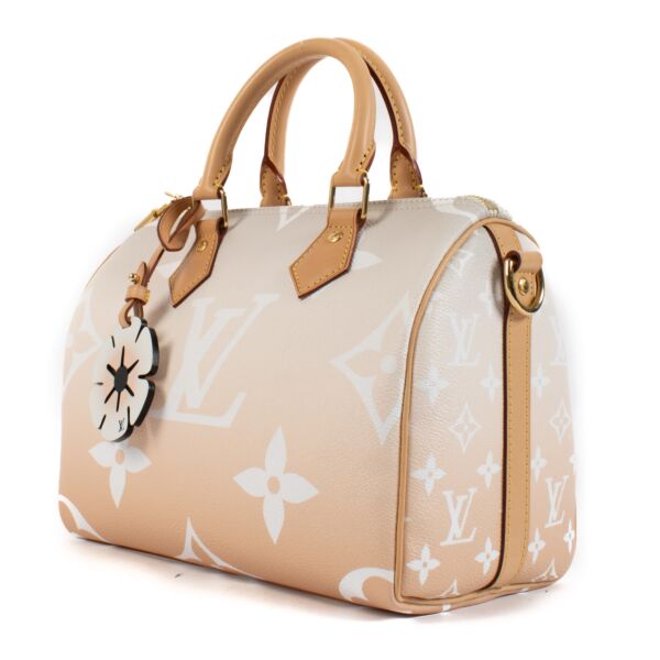 Louis Vuitton Giant By the Pool Speedy 25 Bag