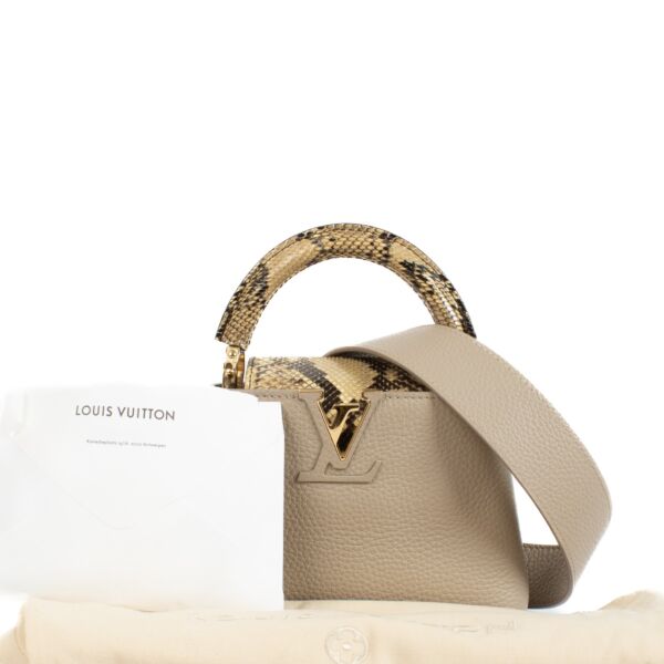 Louis Vuitton Galet Taurillon/Python Capucines Mini