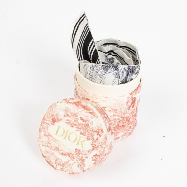 Christian Dior Mitzah Scarf